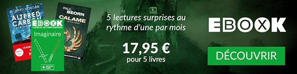 Bannière promotionnelle pour la box ebook fantasy.