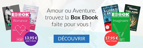 Bannière promotionnelle pour la box ebook.