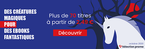 Bannière présentant une promotion sur des e-books avec la thématique de la fantasy